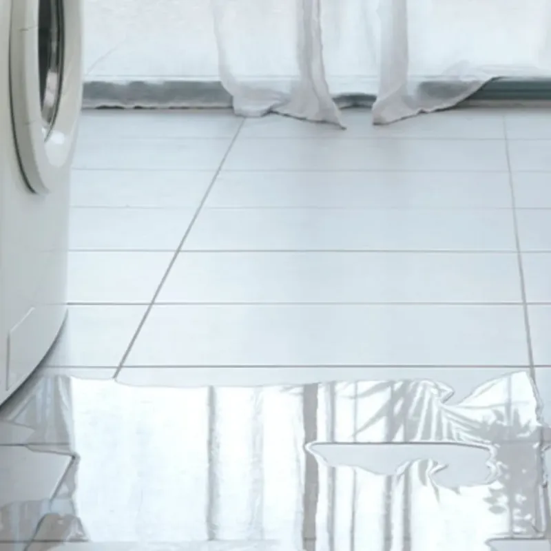Appliance Leak Cleanup in Milford, IL