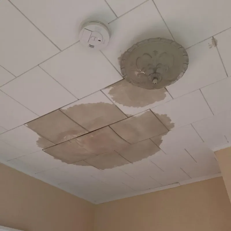 Ceiling Water Damage Repair in Milford, IL