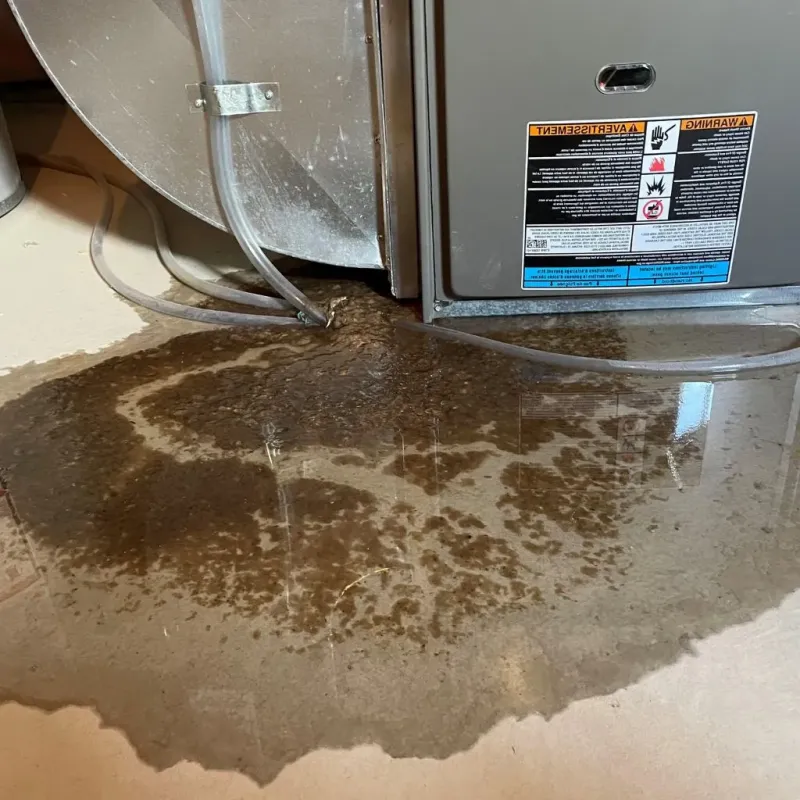Pipe Burst and Leak Restoration in Milford, IL