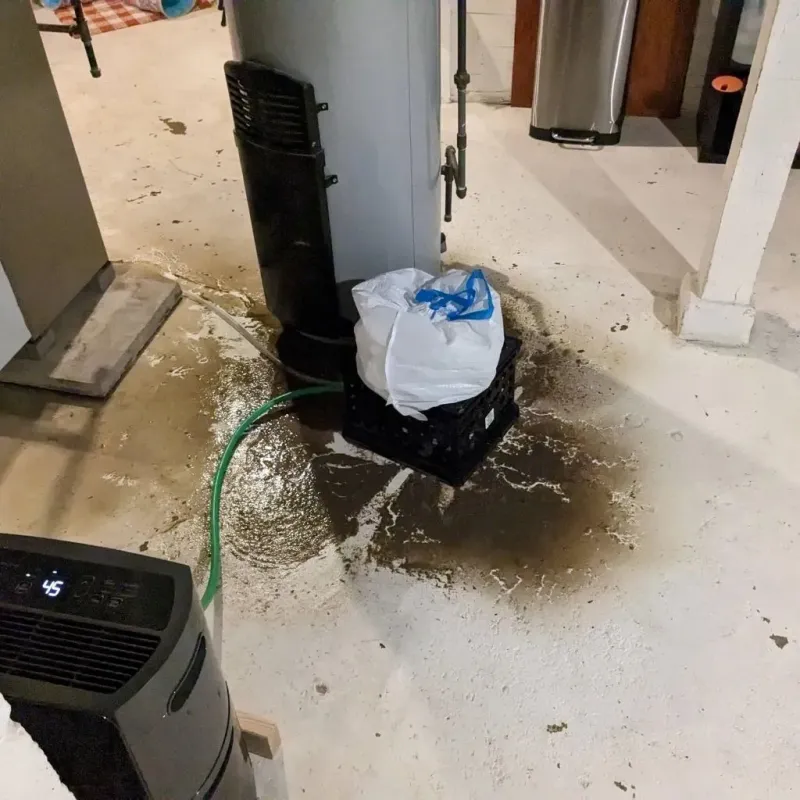 Sewage Backup Cleanup Service in Milford, IL